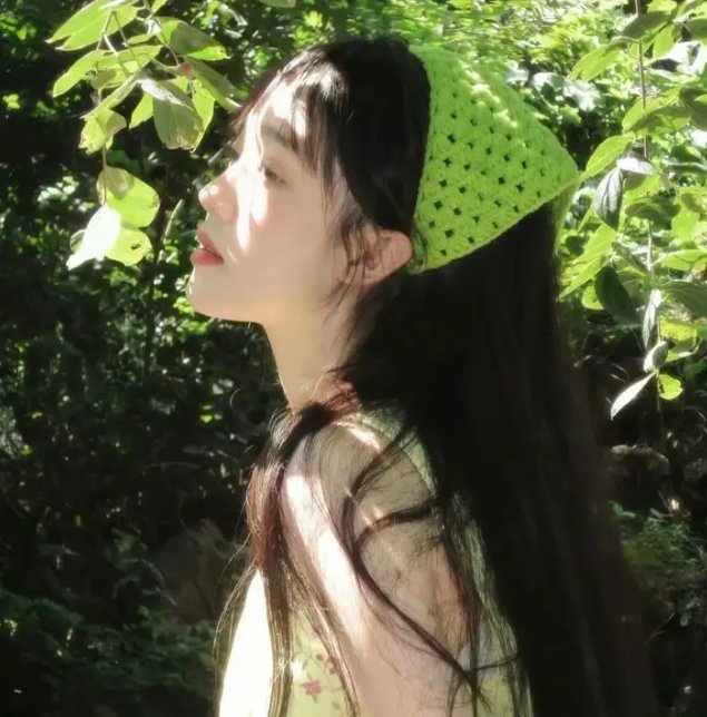 第一大总统